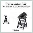 Hauck Alpha+ dřevěná židle+novorozenecký set polohovací, 0m+, Dark Grey
