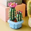 LEGO® Botanicals 11509 Kvetoucí kaktus