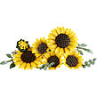 LEGO® Botanicals 11502 Kytice slunečnic