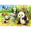 Ravensburger Roztomilé koaly a pandy Puzzle 2x24 dílků