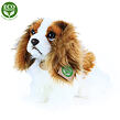 Rappa Plyšový pes king charles španěl 25 cm ECO-FRIENDLY
