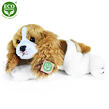 Rappa Plyšový pes Kavalír King Charles španěl ležící 30 cm ECO-FRIENDLY