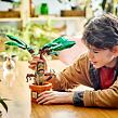 LEGO® Harry Potter™ 76433 Mandragora