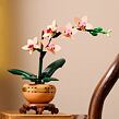 LEGO® Botanicals 10343 Miniaturní orchidej
