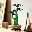LEGO® Botanicals 10344 Bambus štěstí
