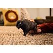 Schleich Bizon