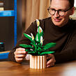 LEGO® Botanicals 11504 Lopatkovec