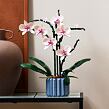 LEGO® Botanicals 10311 Orchidej