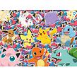 Ravensburger Pokémon Puzzle, 100 dílků
