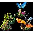 LEGO® Ideas 21342 Sbírka hmyzu