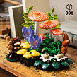 LEGO® Botanicals 11505 Lesní houby