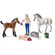 Schleich Návštěva lékaře u klisny a hříběte