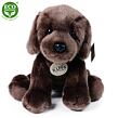 Rappa Plyšový pes labrador sedící 26 cm ECO-FRIENDLY