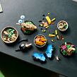 LEGO® Ideas 21342 Sbírka hmyzu