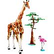 LEGO® Creator 3 v 1 31150 Divoká zvířata ze safari