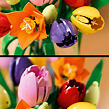 LEGO® Botanicals 11501 Kytice tulipánů