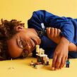 LEGO® Minecraft® 21251 Steve a výprava do pouště