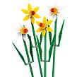 LEGO® Botanicals 40747 Narcisy