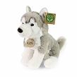 Rappa Plyšový pes husky sedící 23 cm SOFT COLLECTION