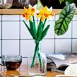 LEGO® Botanicals 40747 Narcisy