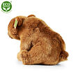 Rappa Plyšový medvěd Grizzly sedící 30 cm ECO-FRIENDLY