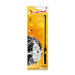 Rappa Lampión Halloween duch 25 cm se svítící hůlkou 40 cm