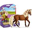 Schleich Hřebec Paso Fino - koňská šou