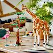 LEGO® Creator 3 v 1 31150 Divoká zvířata ze safari