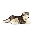 Rappa Plyšový pes husky ležící 60 cm ECO-FRIENDLY