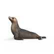 Schleich Lachtan
