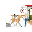 Schleich Veterinární ordinace pro domácí zvířata