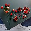 LEGO® Botanicals 10328 Kytice růží