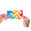 RECENTTOYS Zigguflat Puzzle
