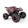 DRIVERO RC Climbing car, 2 druhy