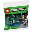 LEGO® Minecraft 30705 Bitva v zarostlé jeskyni