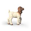 Schleich Kůzle burské kozy