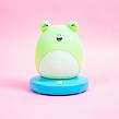 SQUISHMALLOWS FIZZ Dekorativní osvětlení - Žába Wendy