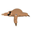 EUGY Lenochod 3D kartonová skládačka